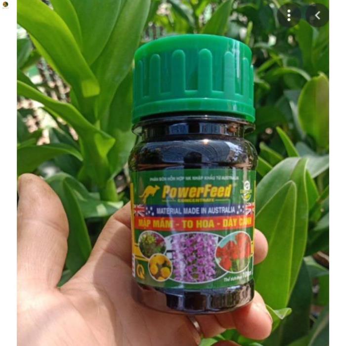Phân bón hữu cơ cá powerfeed 100ml từ úc - mập mầm to hoa dày cánh power feed
