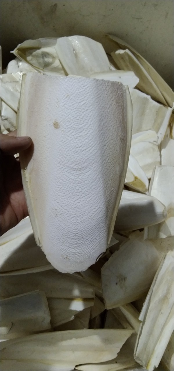 1/2 MIẾNG NAN MỰC SIÊU TO CHO CHIM,VẸT