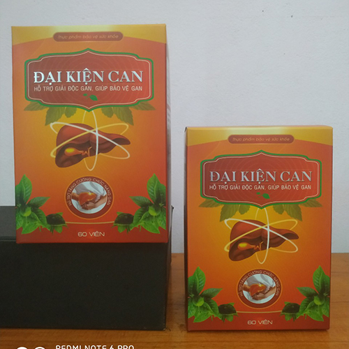 Đại Kiện Can