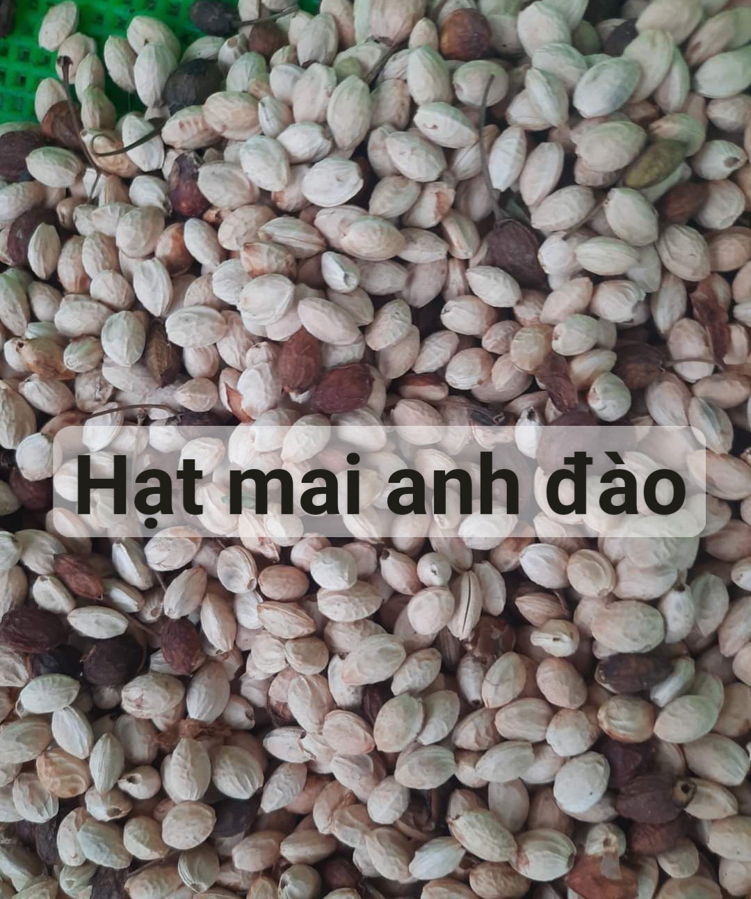 50gram hạt mai hoa đào
