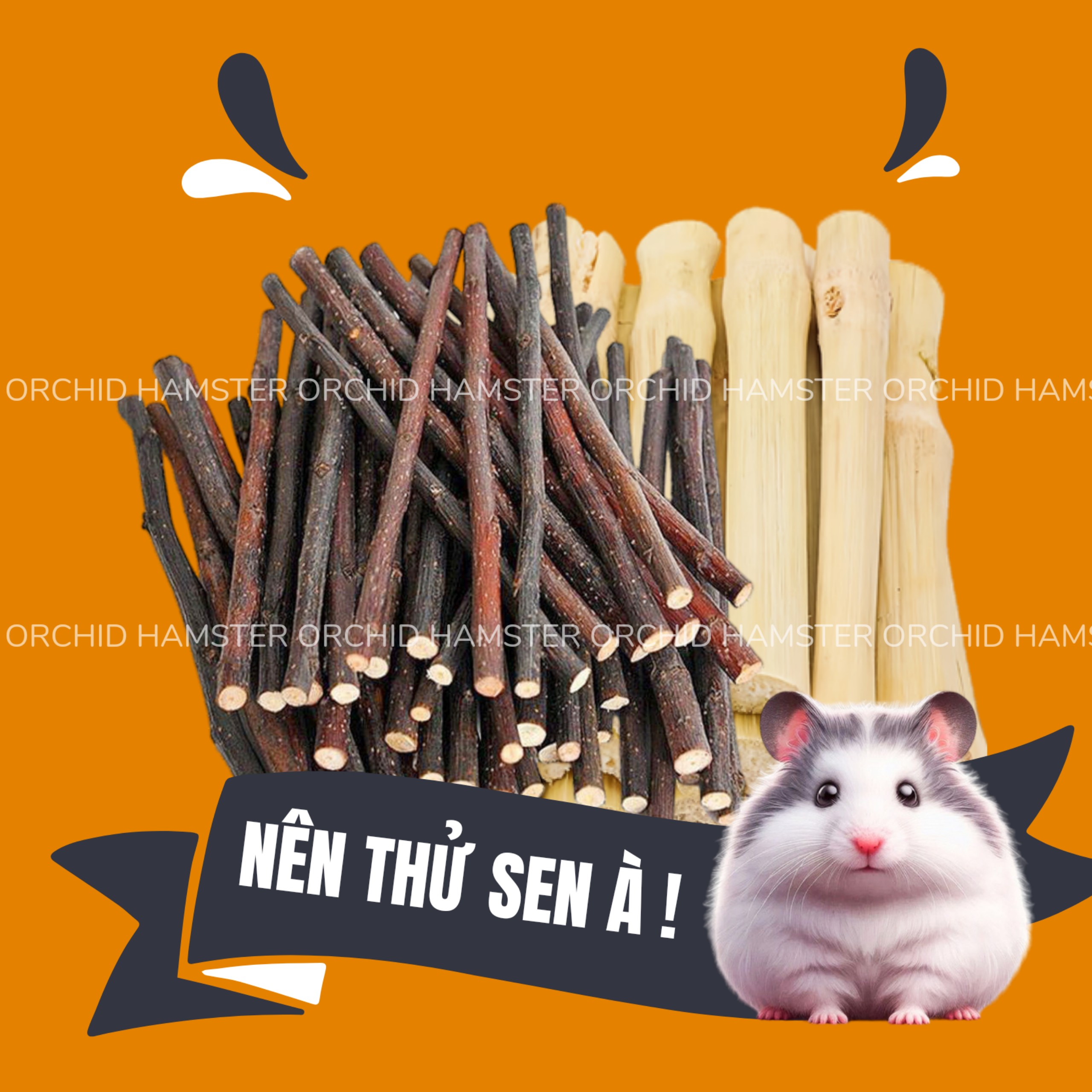 Cành Táo - Tre Ngọt Mài Răng Hamster /Sóc/Nhím Thú Nhỏ