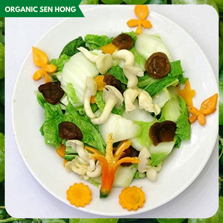 Cải thảo Sen Hồng (0,9-1,2kg)