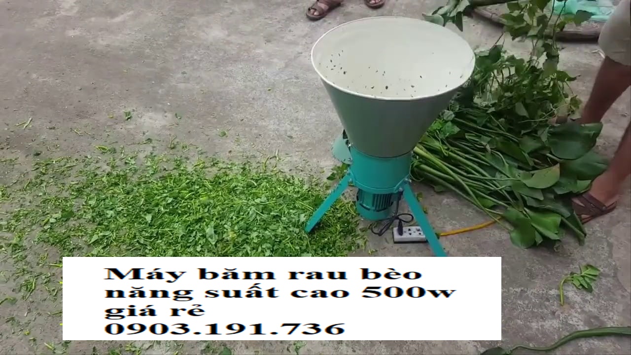 Máy băm lục bình tại Bến Tre, máy băm rau bèo