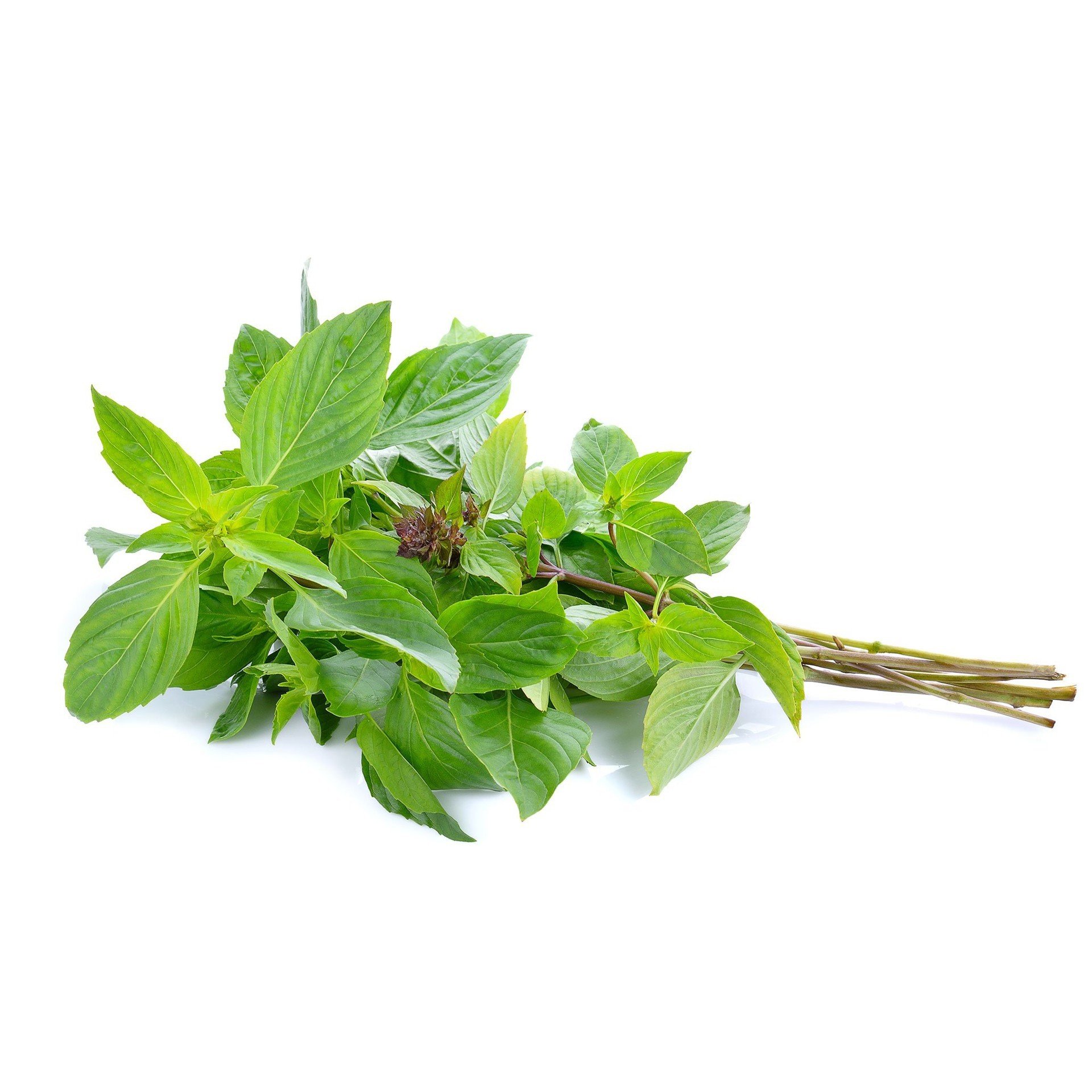 [Chỉ Giao HCM] Húng Quế - 100g