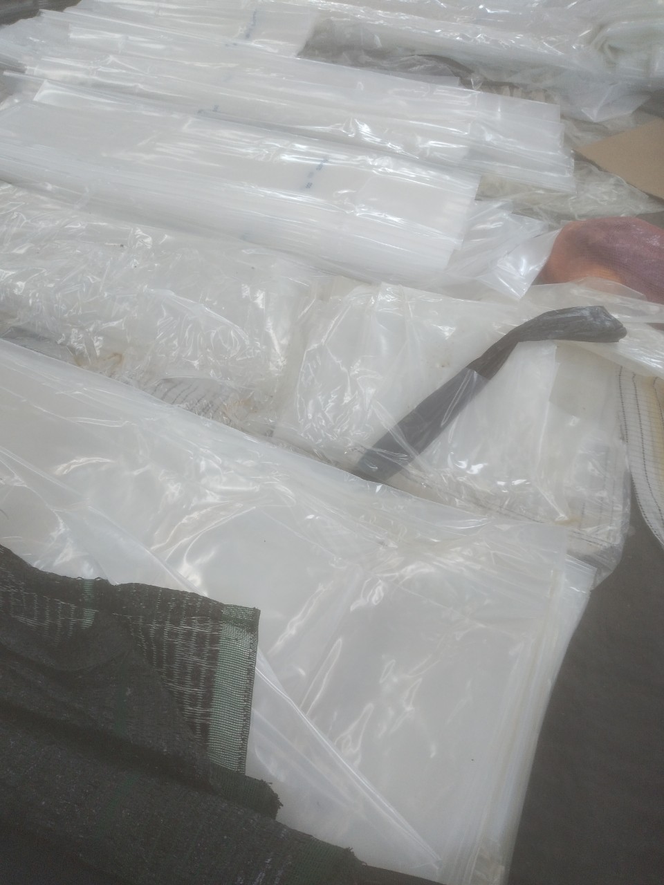 Màng PE lợp nhà kính khổ rộng 2m2