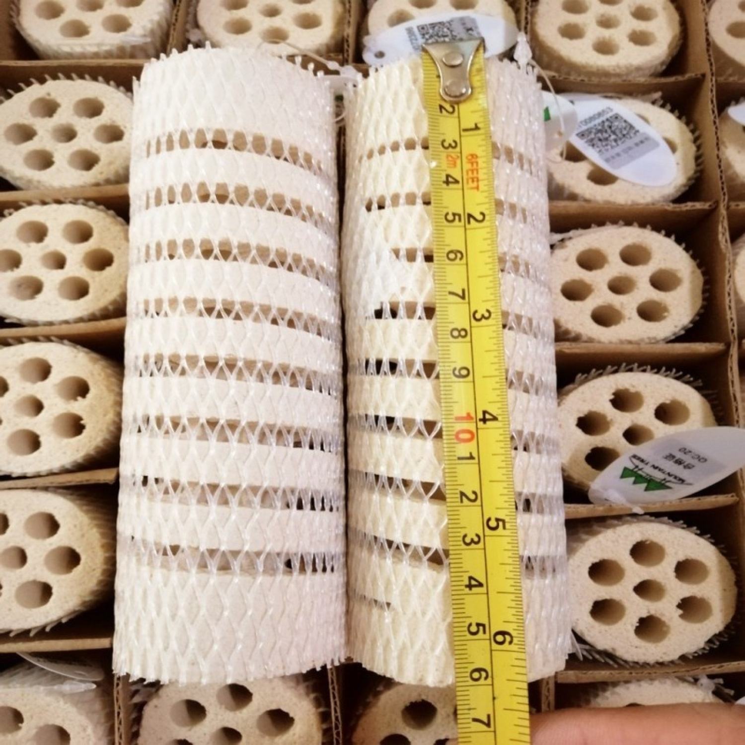 Sứ lọc củ sen Mountain Tree Lotus Root Bacteria House