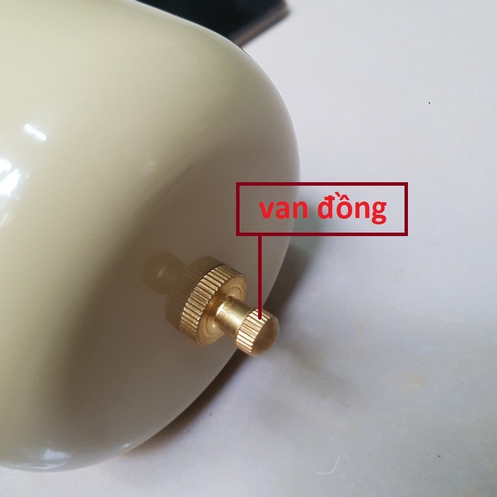 Bình tăng áp máy bơm ren thép 21mm cho mọi máy bơm