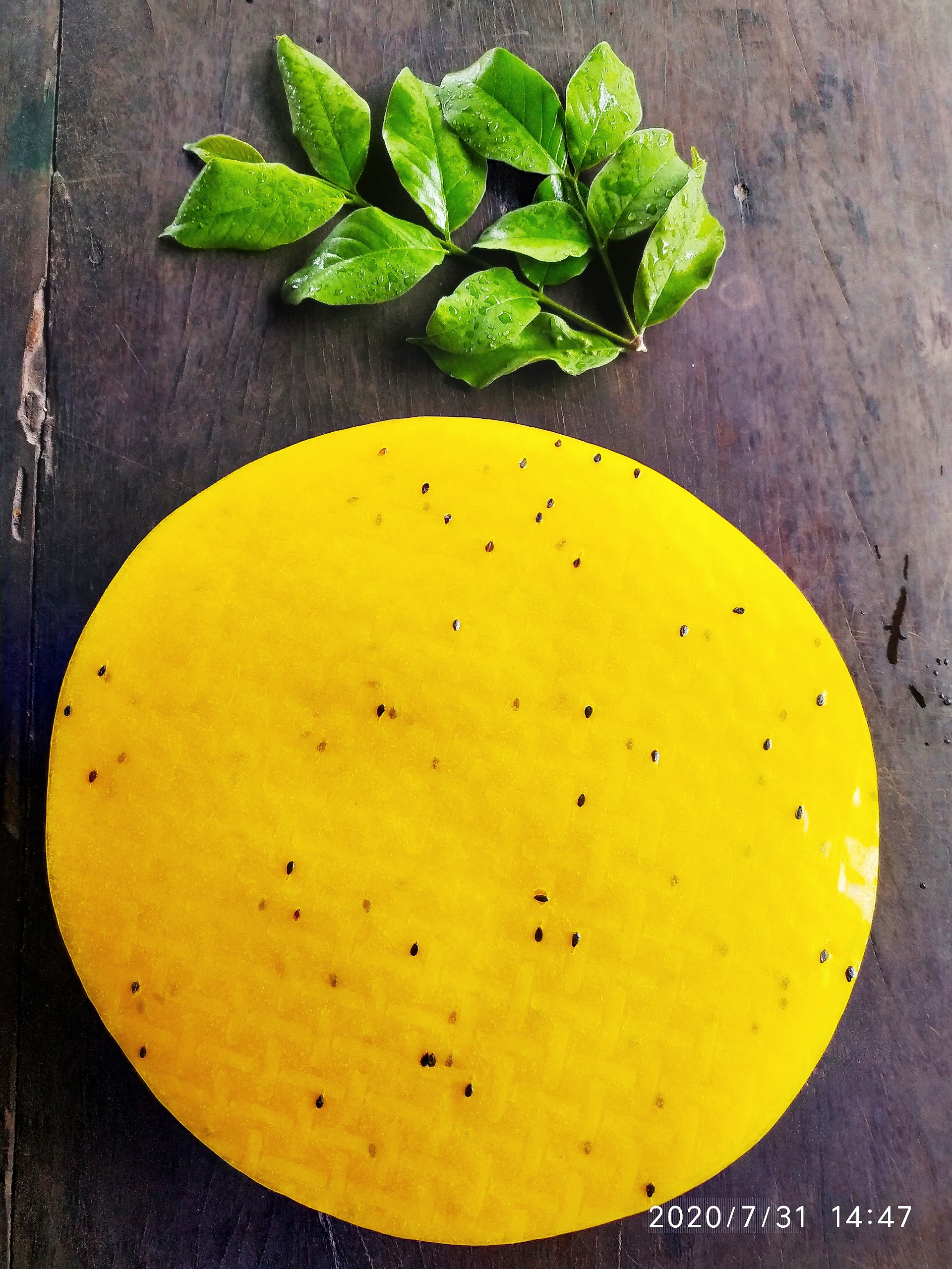 BÁNH TRÁNG NƯỚNG ĐÀ LẠT (10kg)