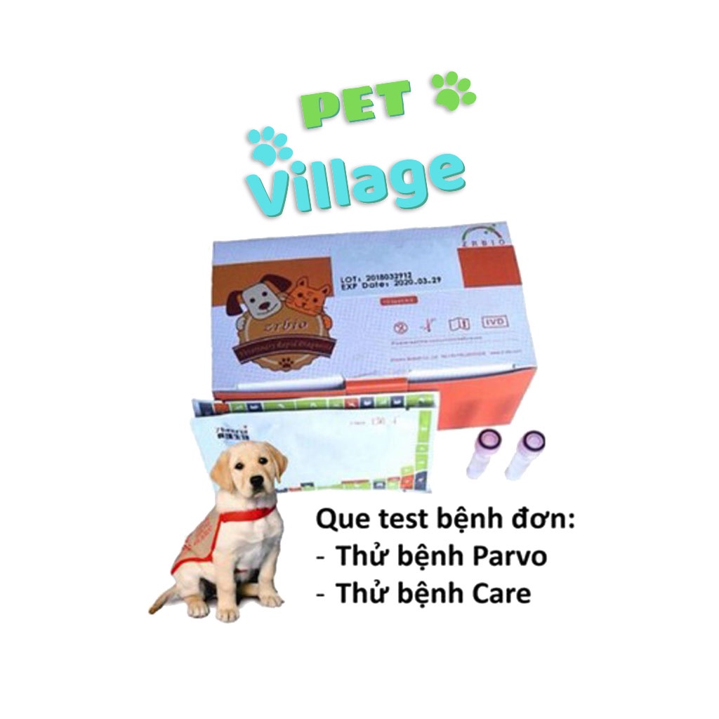 (1 que) Test bệnh parvo chó que thử bệnh pravo chó
