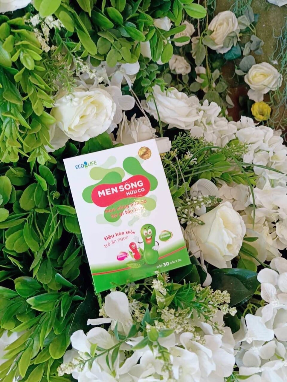 [HCM]Men Sống hữu cơ Ecolife