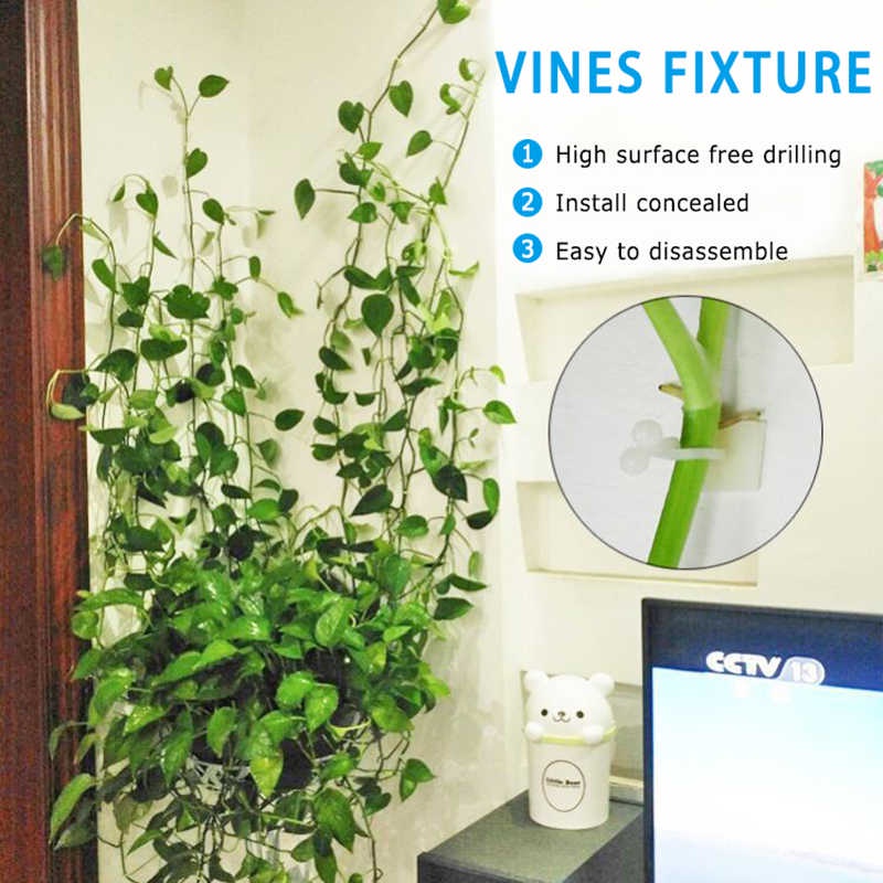Bộ ghim kẹp cố định cho cây dây leo