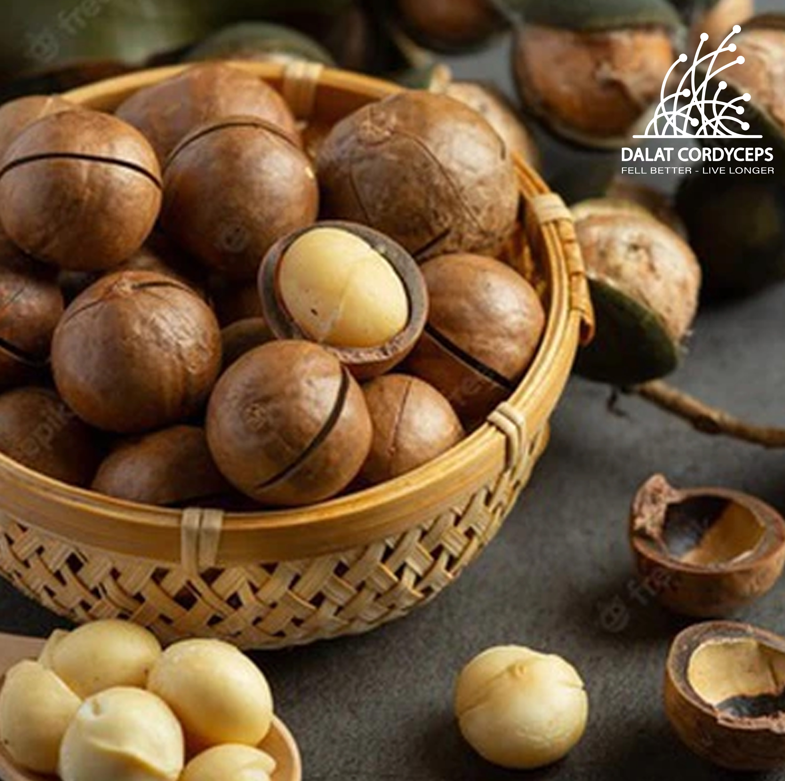 Hạt macca nứt vỏ - Dalat Cordyceps - loại 1