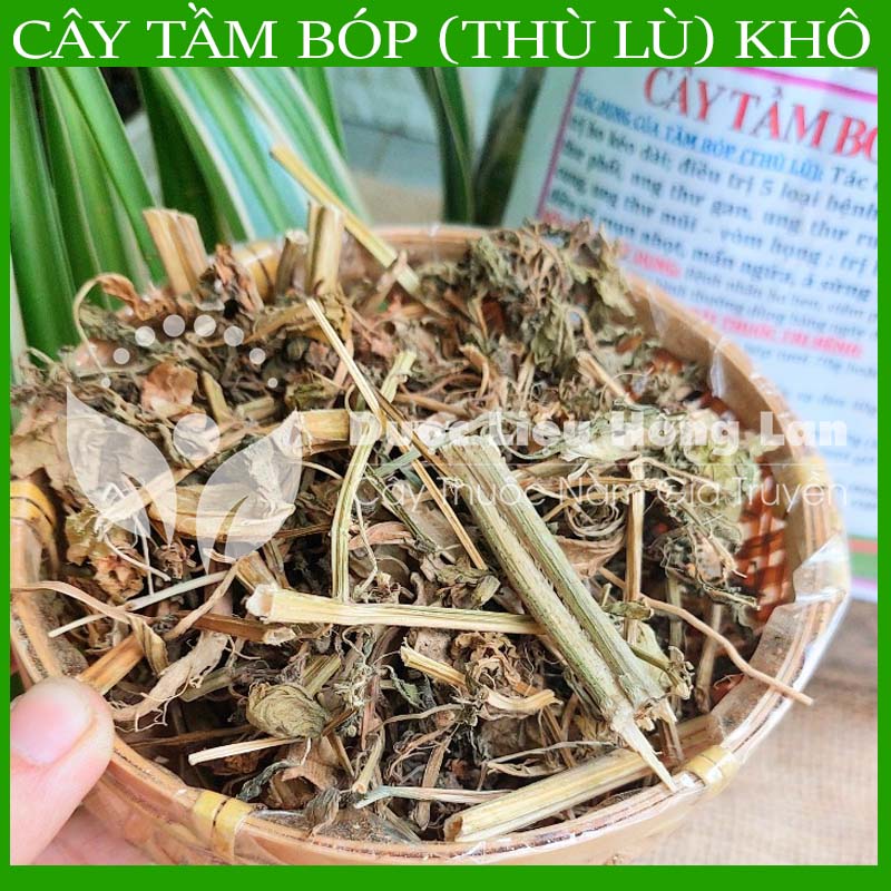 Dược liệu cây tầm bóp khô sạch đóng gói 500gram