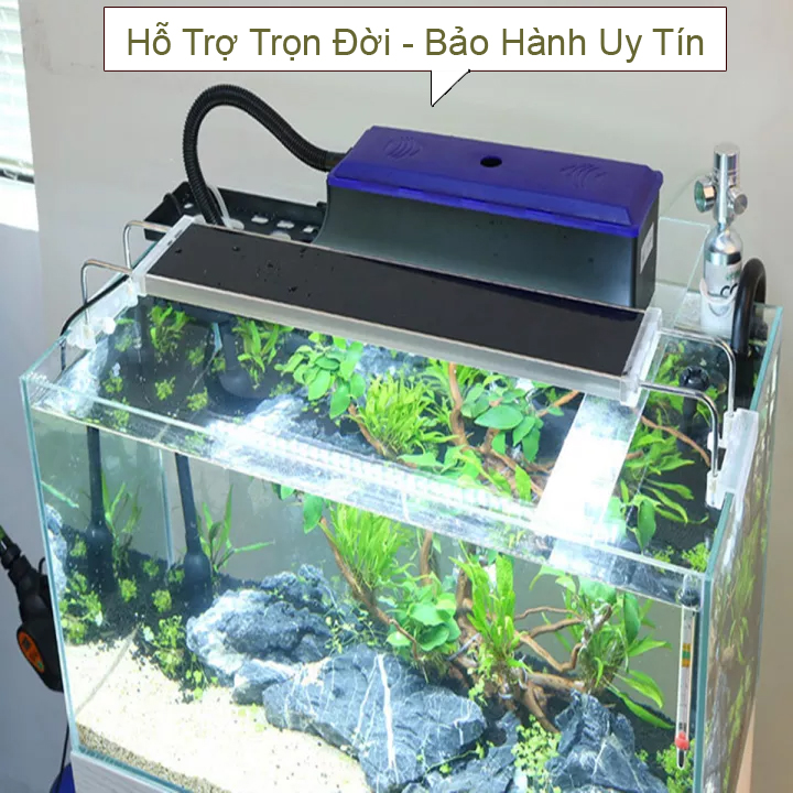 Pump filter aquarium water Rs 188 and cotton filter type good-set pump water filter fish tank electrical Rs 188