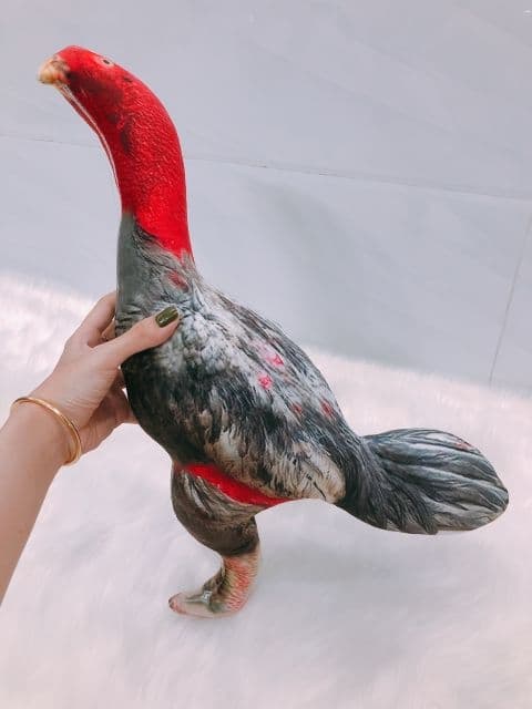 Thú bông 3D cao cấp - Đồ chơi ( hình thật)