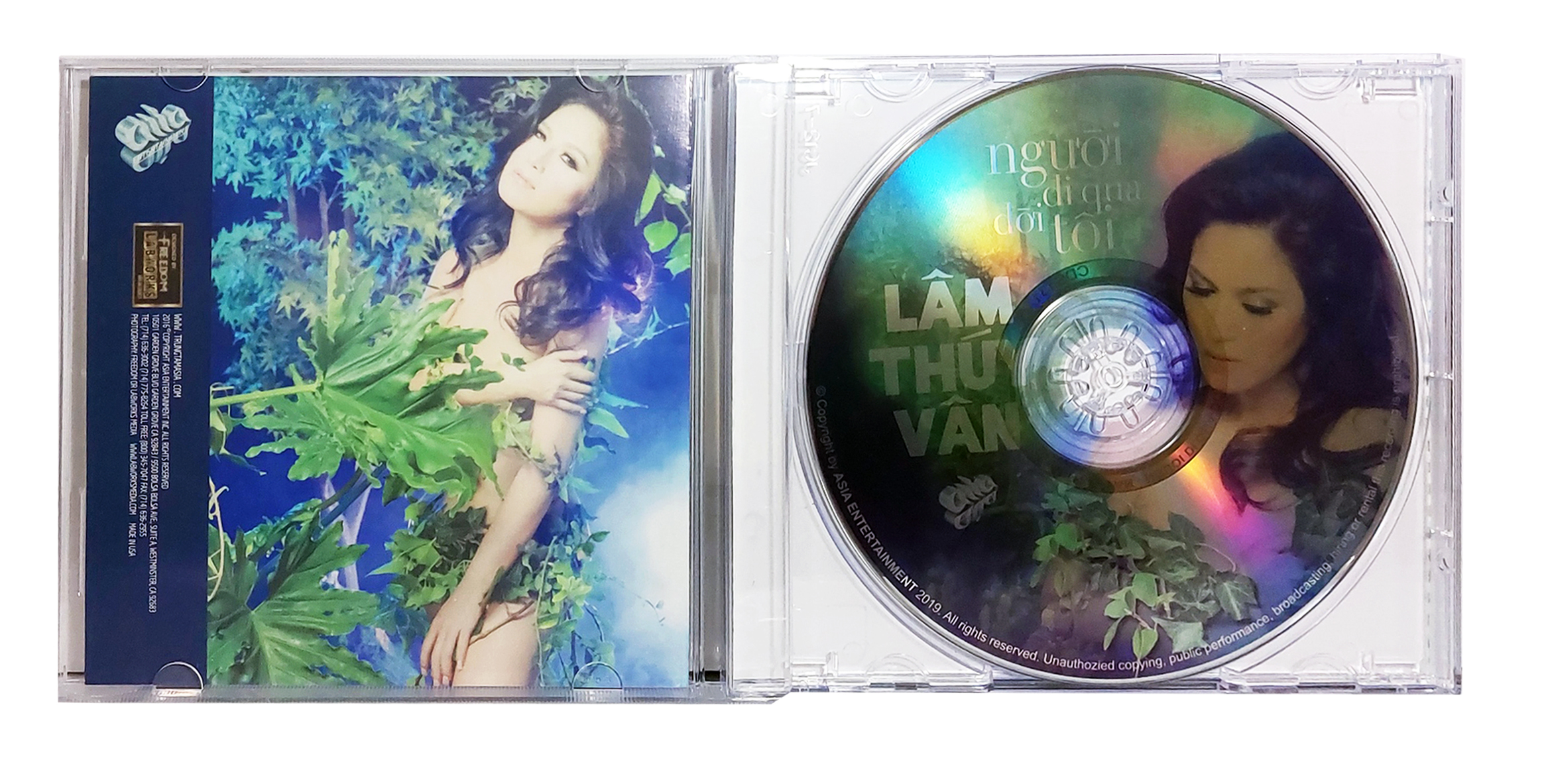 Lâm Thúy Vân - Người Đi Qua Đời Tôi