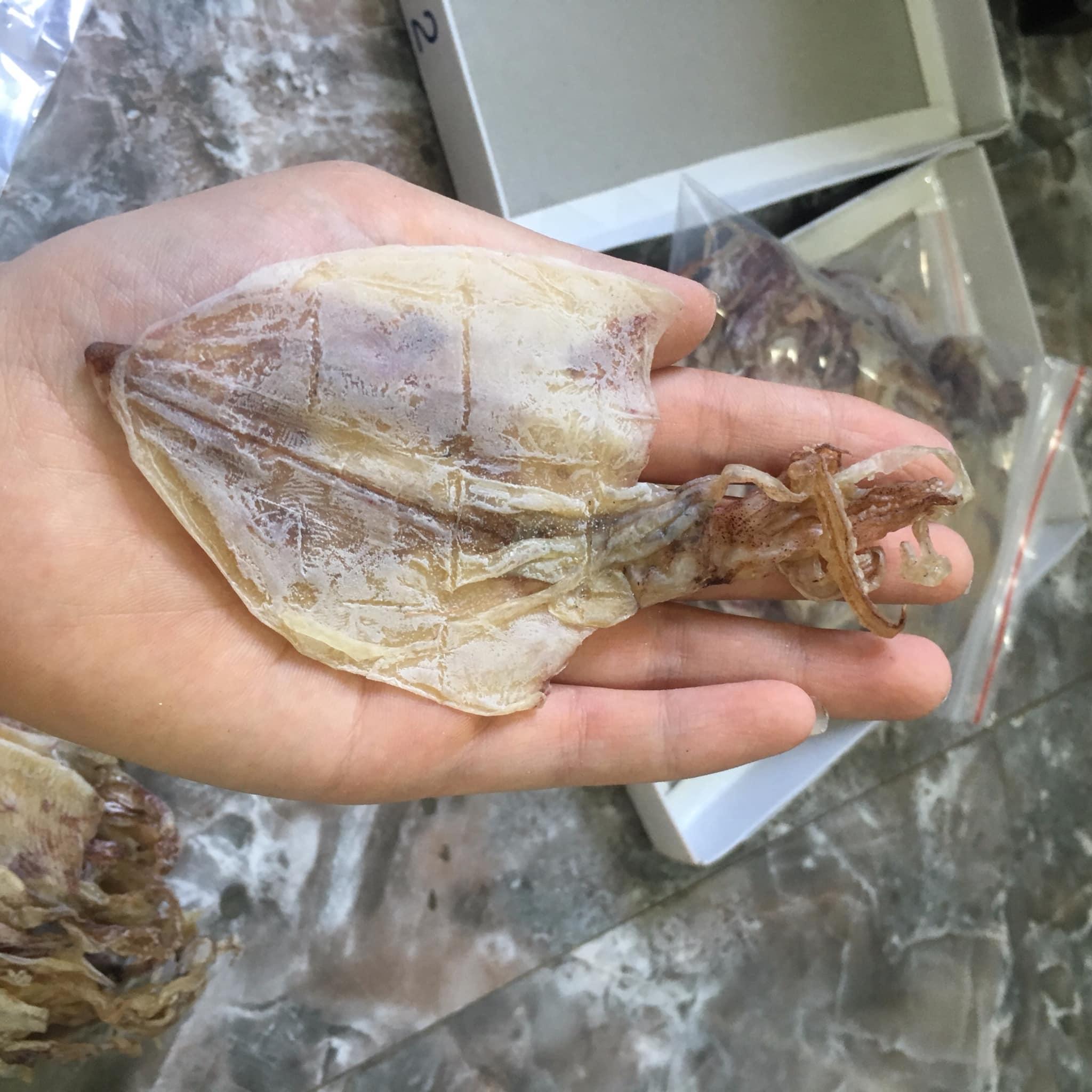 Mực khô Vân Đồn 500gr loại 1