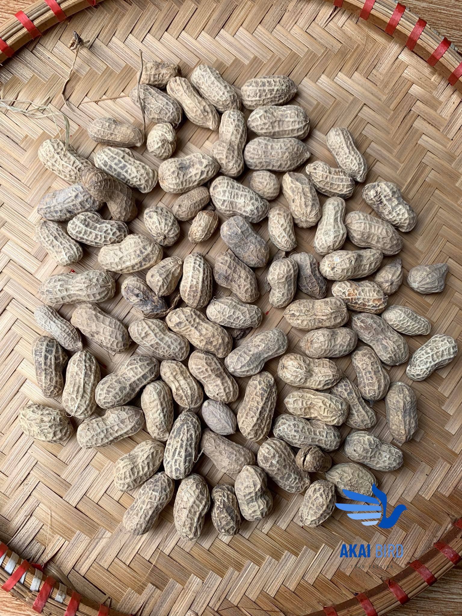 Củ Lạc Nguyên Vỏ Đã Được Phơi Khô