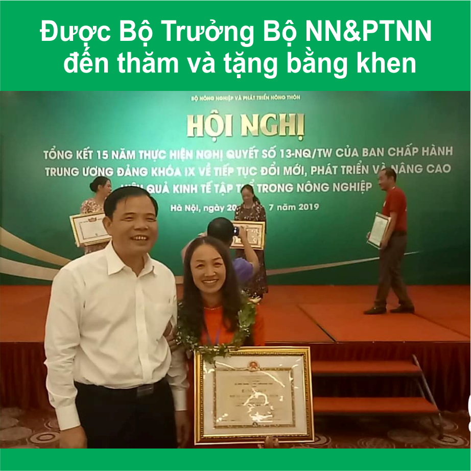 [Nhập RS0822 giảm 30k cho đơn 99k]Tinh bột nghệ 500gr