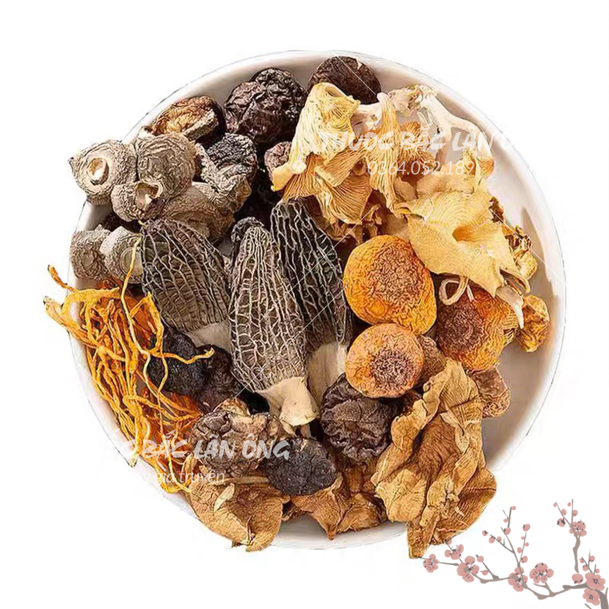 Nấm bụng dê khô 10g, thịt dày, size to, nấm hầm canh, nấu lẩu thơm ngon,  tốt cho sức khỏe - Lãn Ông