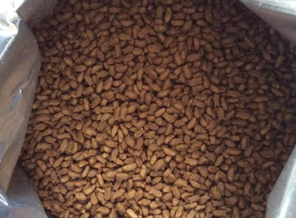 Cat Eye bao Zip 1kg