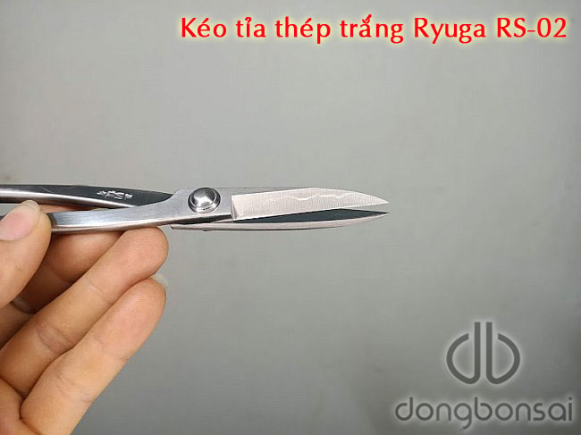 Kéo tỉa Ryuga RS-02