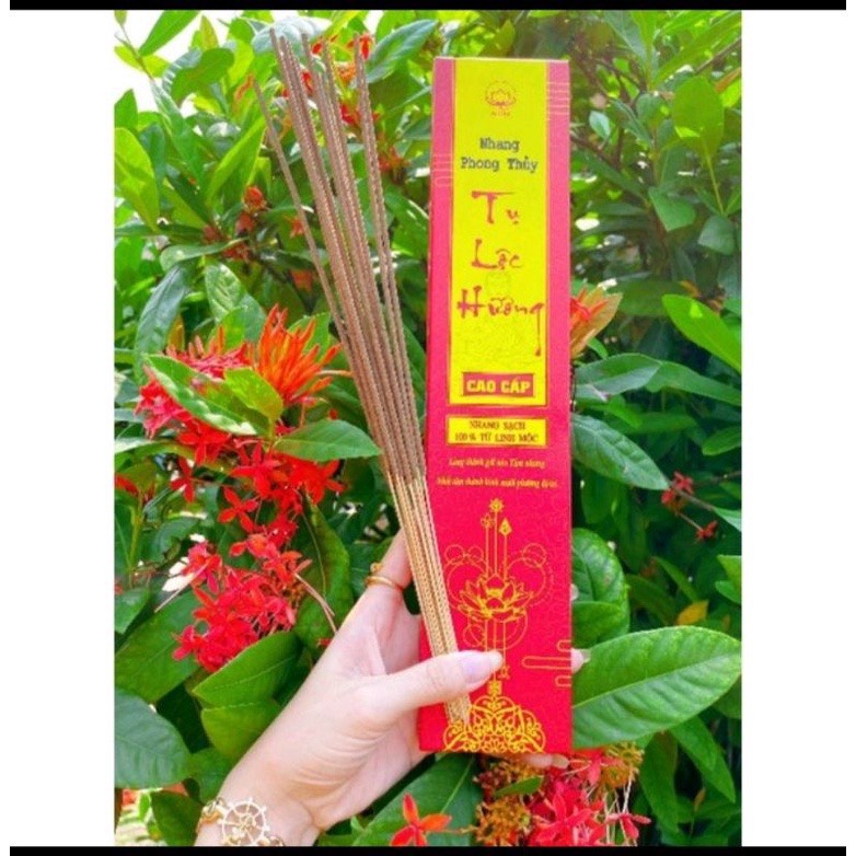 20 gói bột phong thủy Alofa