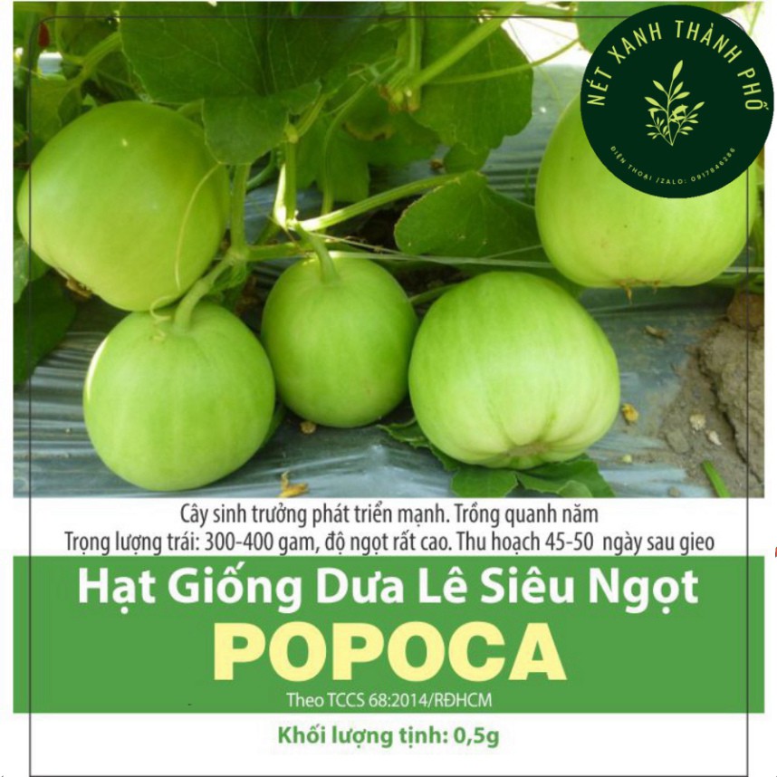 [GIAO HÀNG 2 GIỜ] Hạt giống Dưa Lê Popoca siêu trái, siêu ngọt 0.5gr