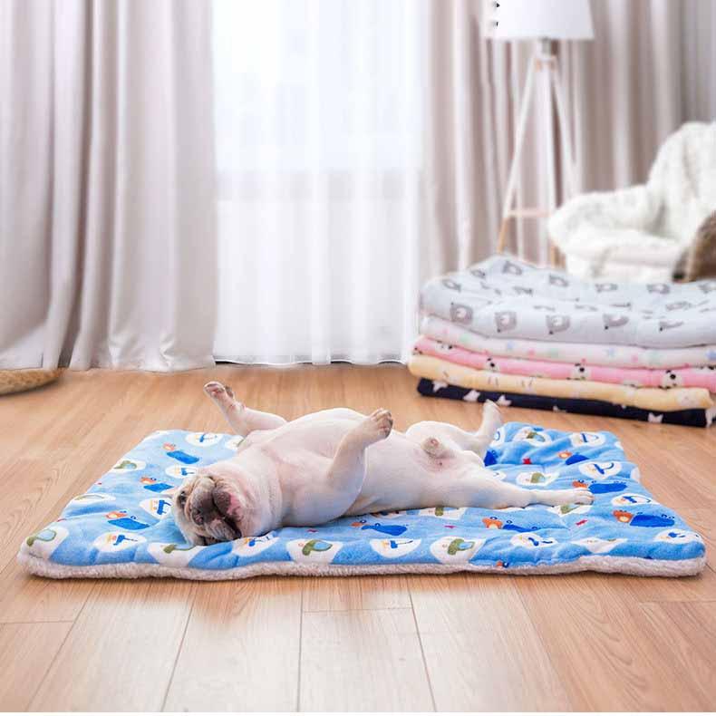 Nệm thảm cho chó mèo thú cưng