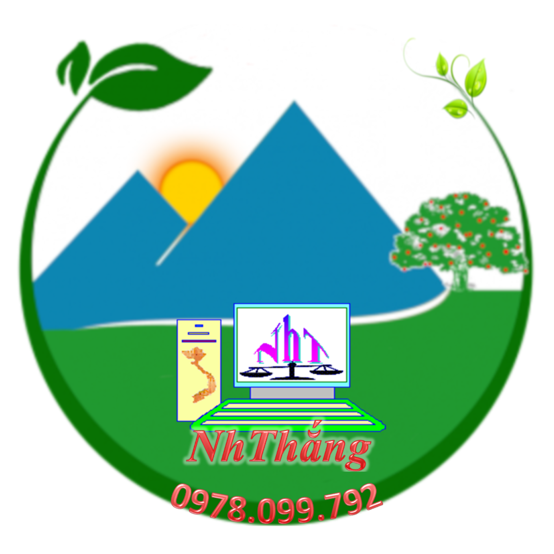 05 hộp Trà Đinh Lăng Tâm Lan