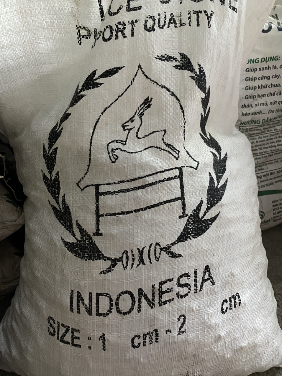 1kg Đá bọt - Đá giữ ẩm size 1-2
