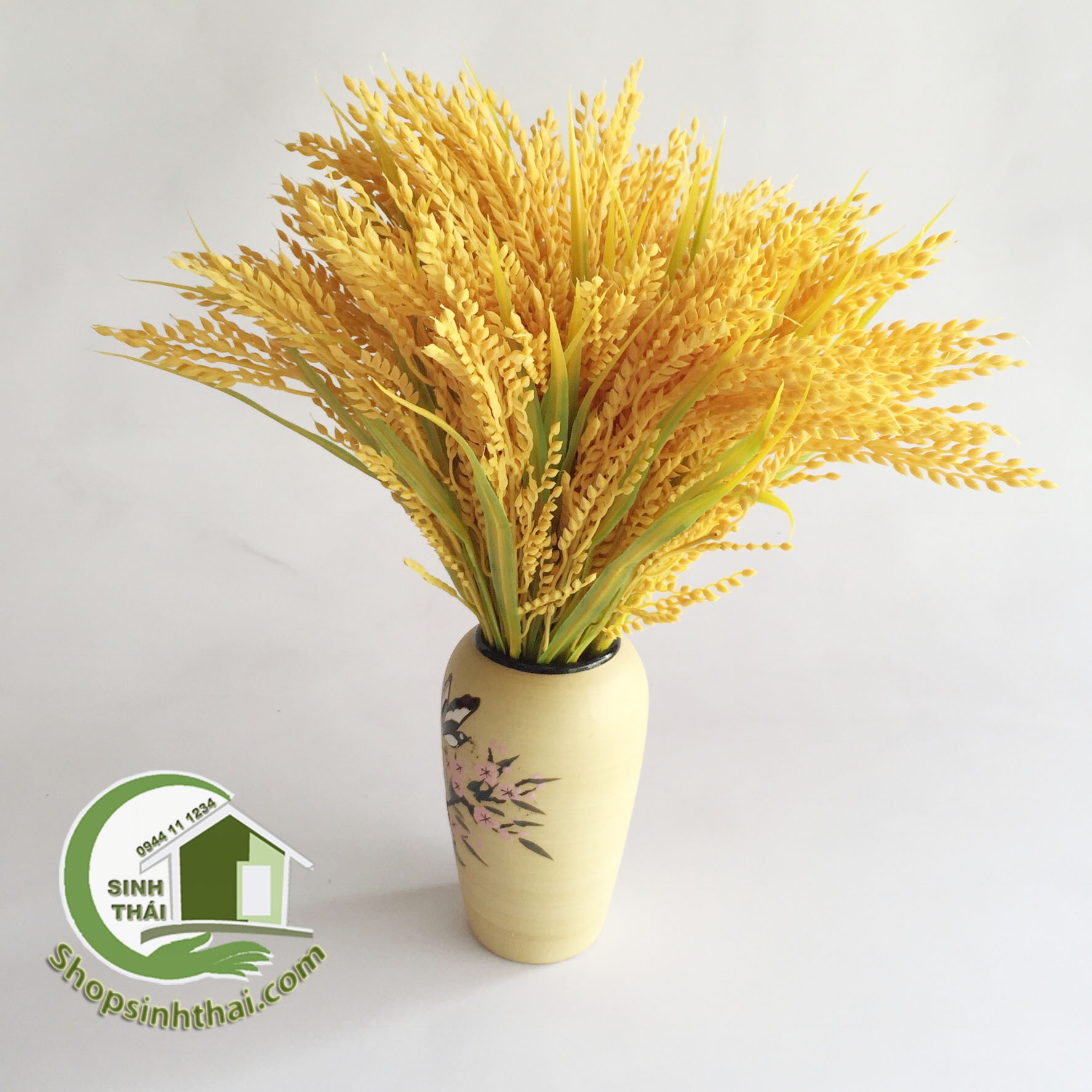 [HCM]Bụi Cây Bông Lúa Vàng Cao 50cm - Bụi Cỏ Lúa Vàng [ 1 bụi ]