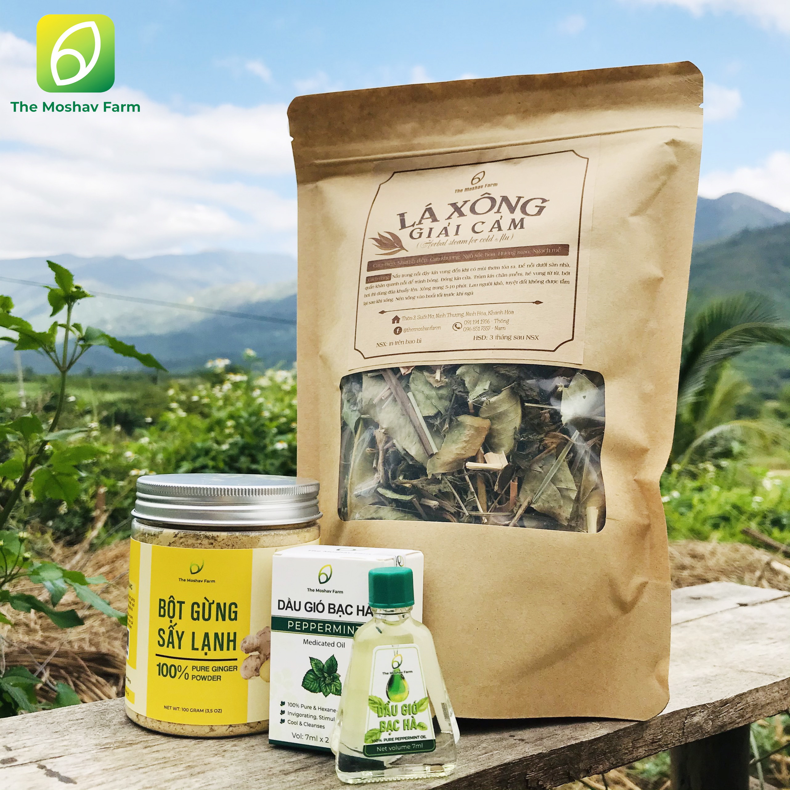 DẦU GIÓ BẠC HÀ - PEPPERMINT OIL
