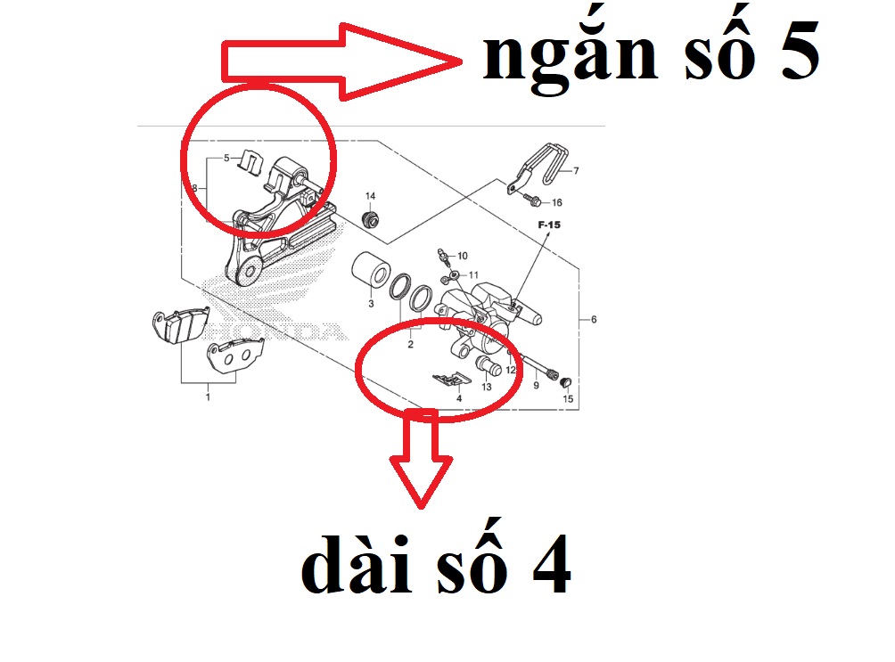 Phe giữ bố phanh, bố thắng sau xe Winner đời đầu, Winner V1, Winner X, hàng din Honda mới 100%