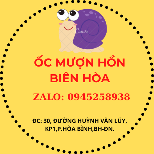 Lũa leo Ốc mượn hồn. Trang trí hồ ốc cảnh.