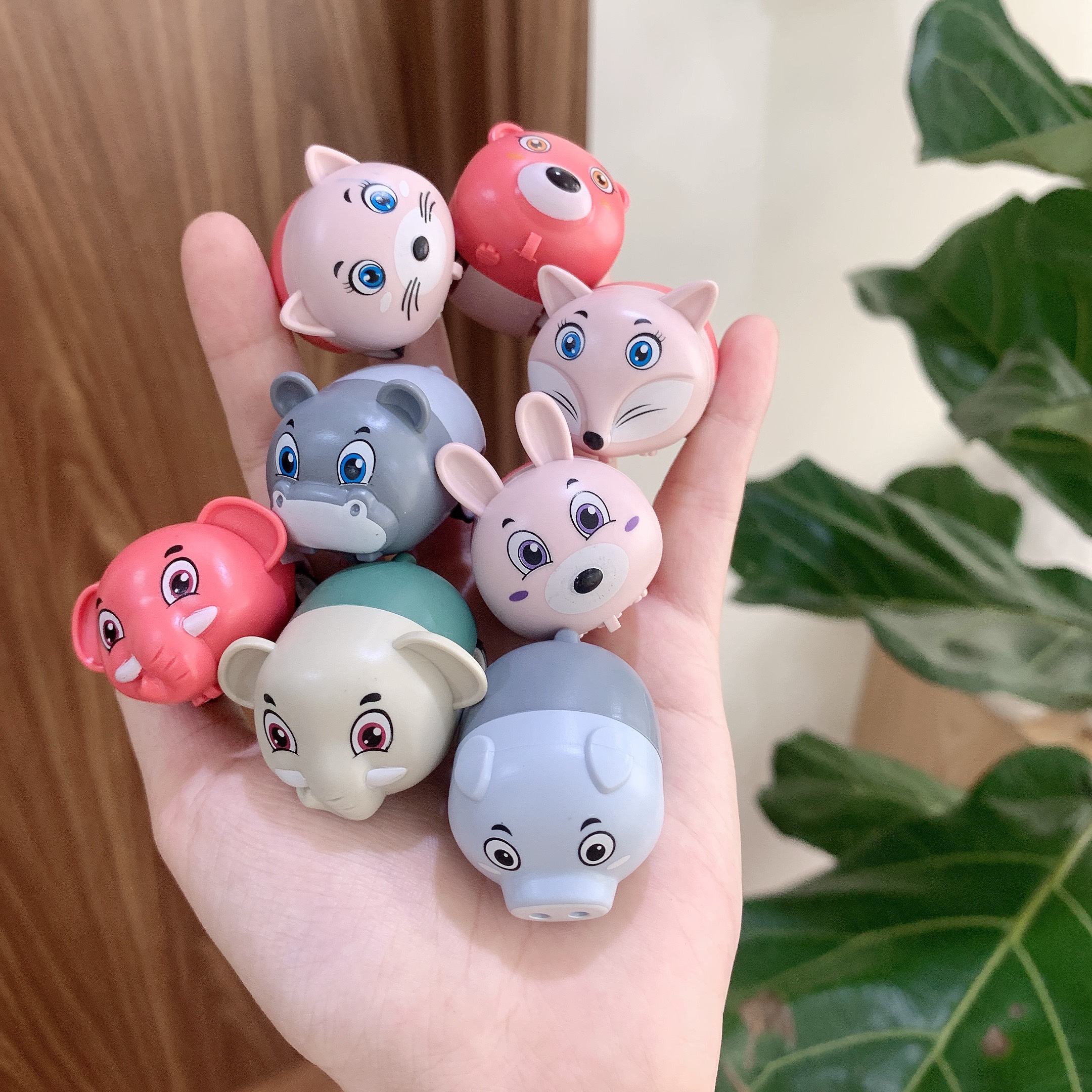 Set trứng 20 con vật chạy đà đáng yêu