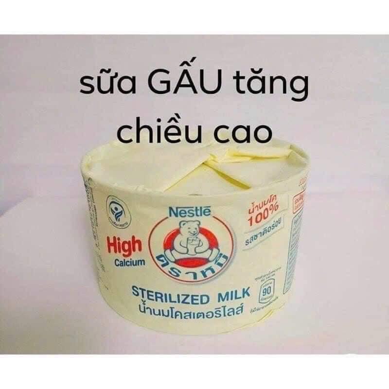 SỮA GẤU NESTLE THÁI LAN GIẦU CANXI