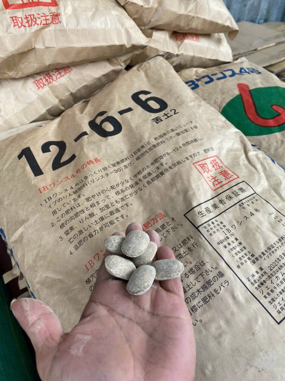 Phân tan chậm Hạt bàng Nhật Bản 12-6-6