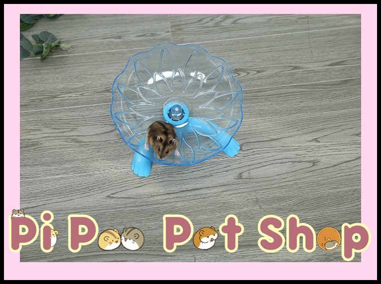 Dĩa bay chạy siêu tốc cho hamster