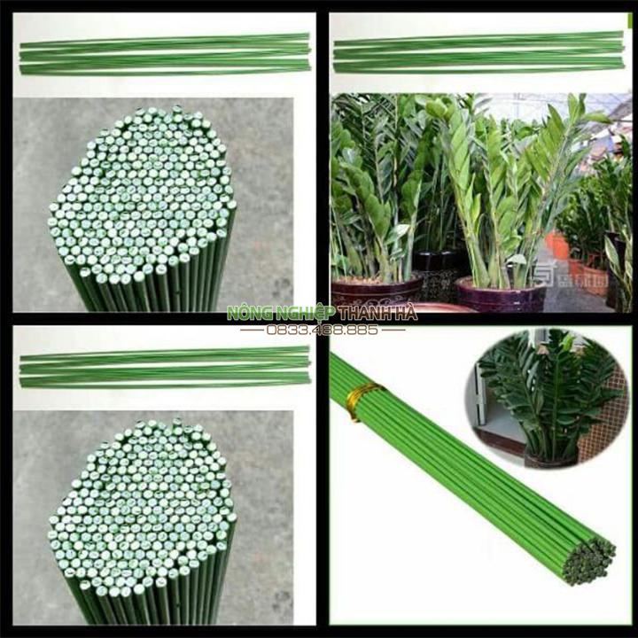 10 Que cắm lan màu xanh dài 80 cm