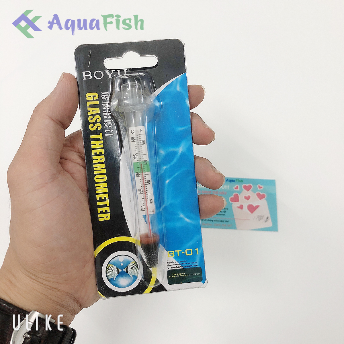Nhiệt Kế Thủy Tinh Boyu Dùng Cho Bể Cá