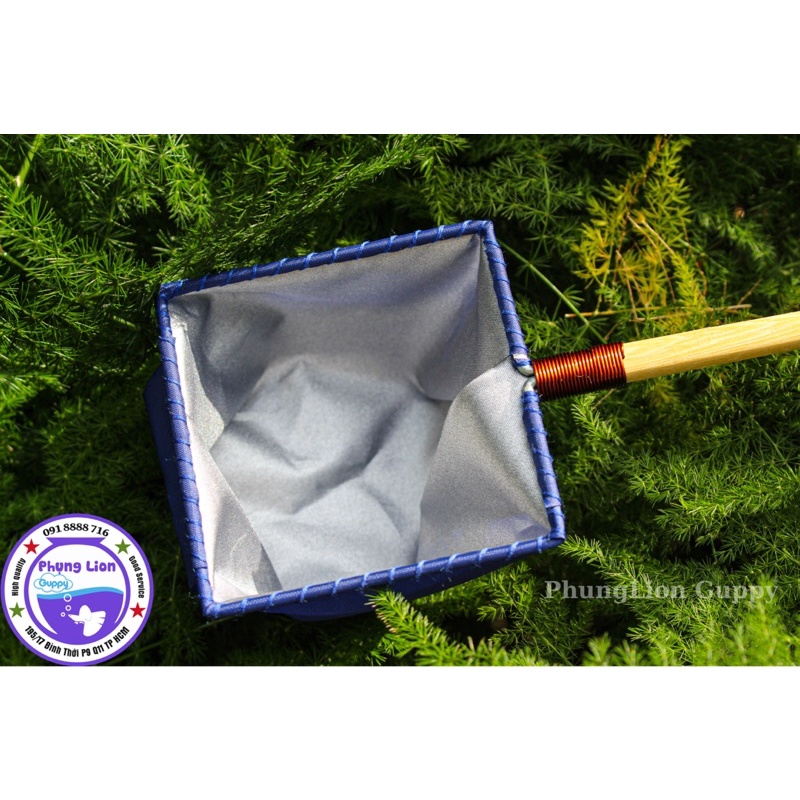 Vợt Cá Betta Guppy ( Vợt Giữ Nước )