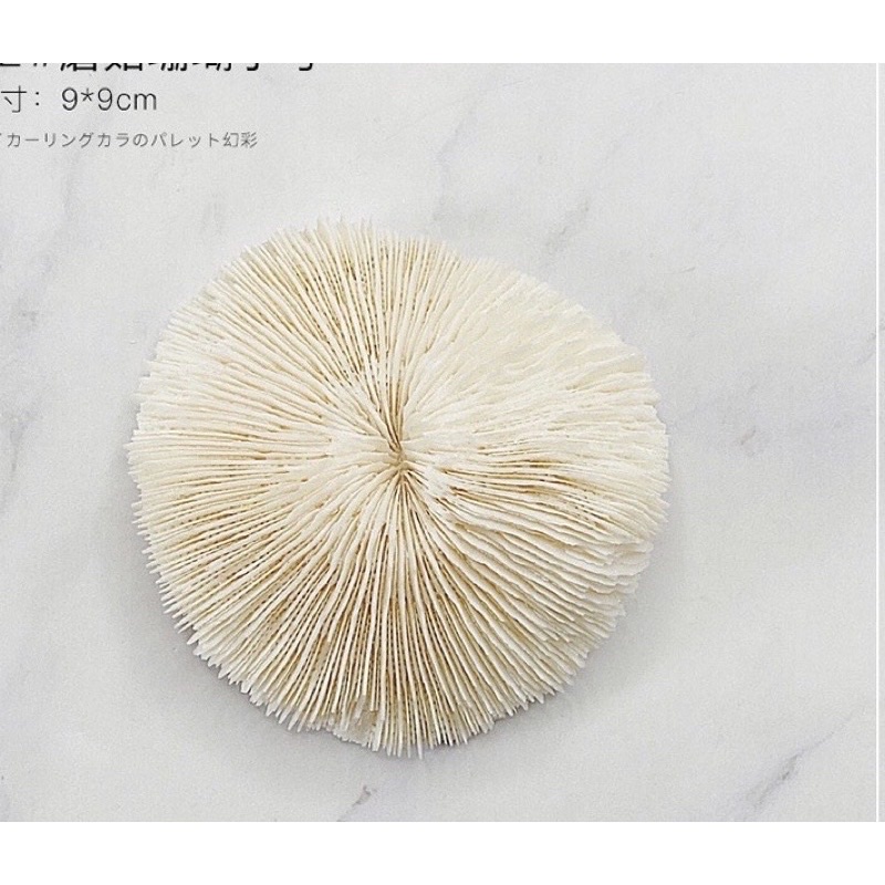 [NNails] Nails phụ kiện chụp ảnh mẫu