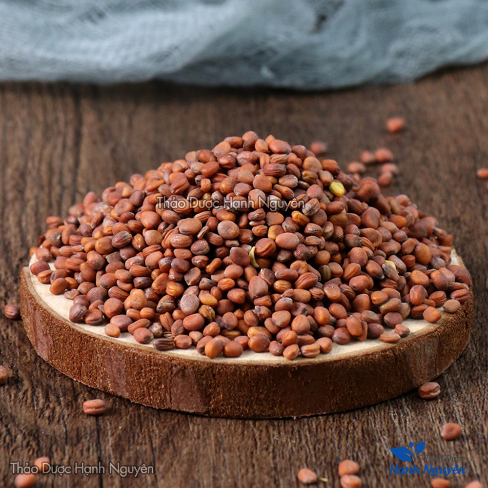 La bạc tử 100g (Lai phục tử, giảm đàm ho, hen suyễn) - Thảo dược hạnh nguyên