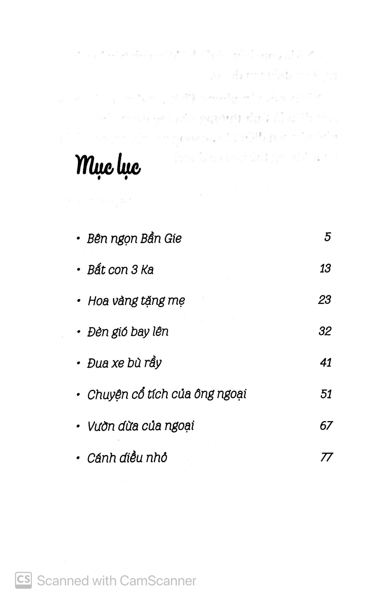 Đèn Gió Bay Lên - Diệp Hồng Phương
