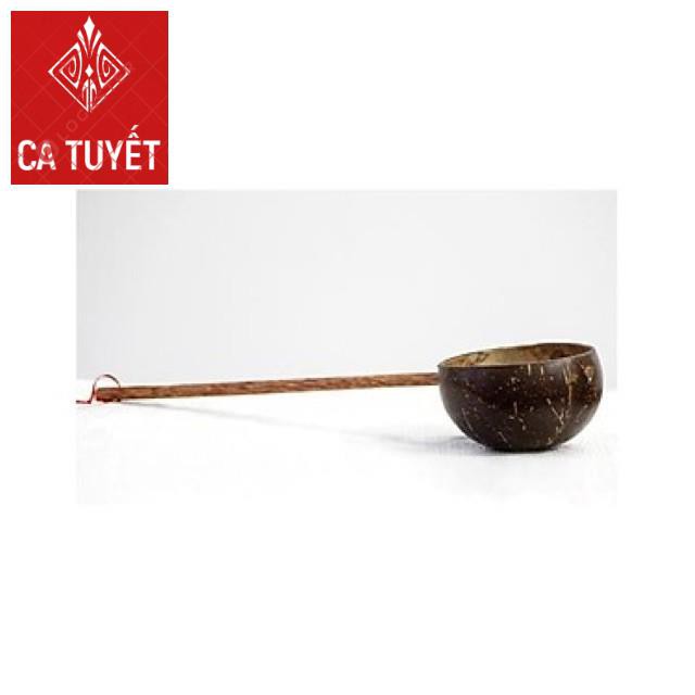 Gáo dừa múc rượu đầu tròn (Hàng Cao Cấp)