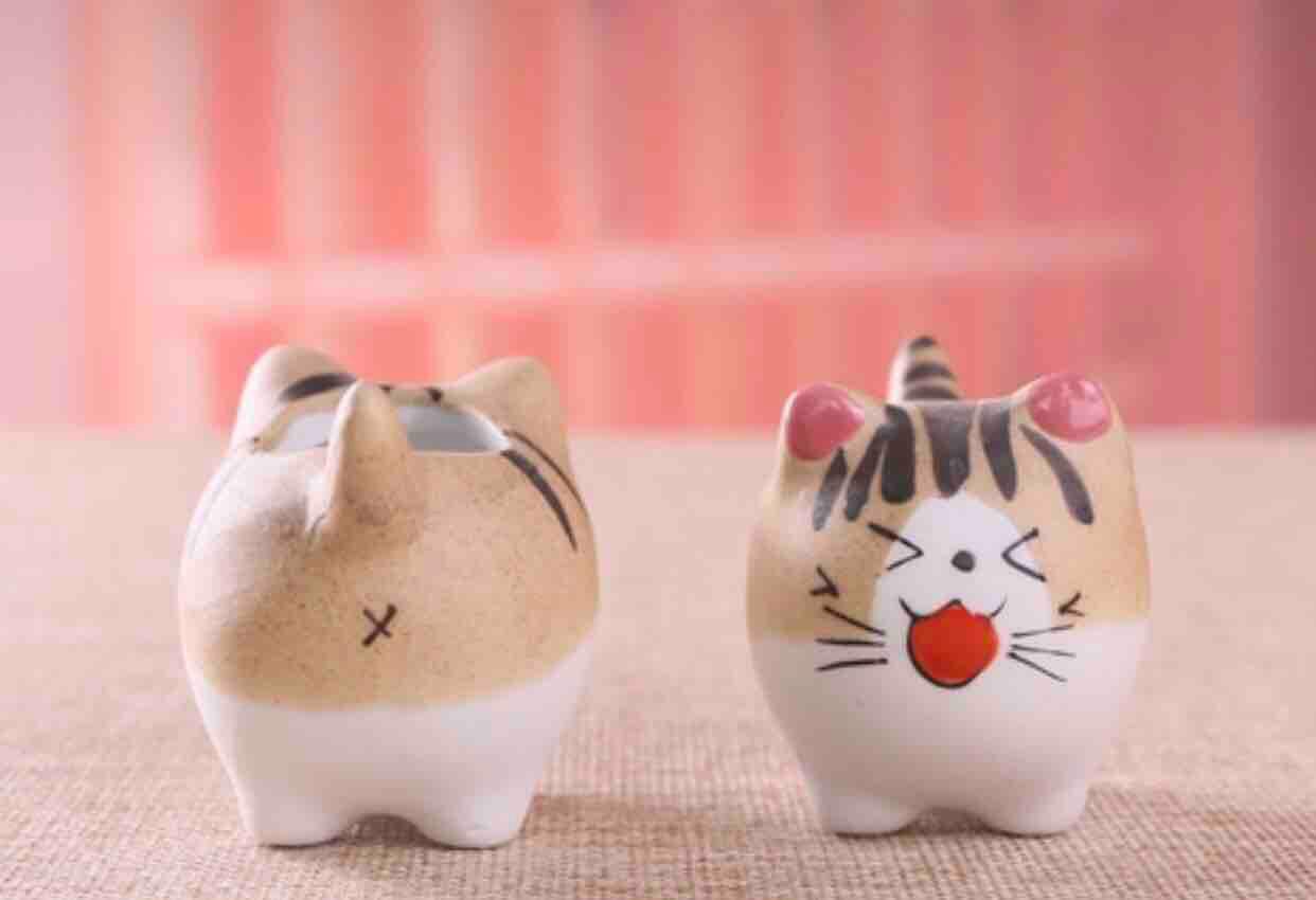 Set 5 chậu mèo trồng cây trang trí