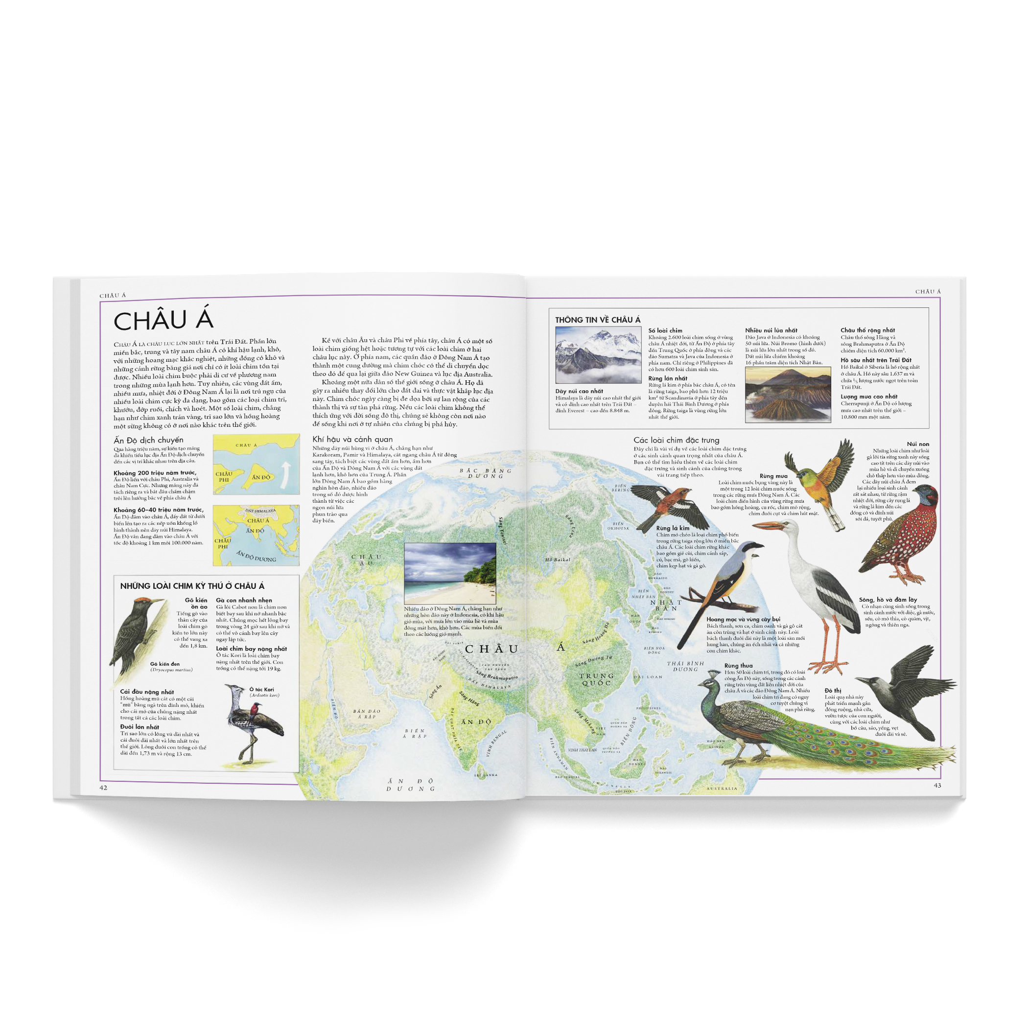 Cá Chép - Atlas các loài chim