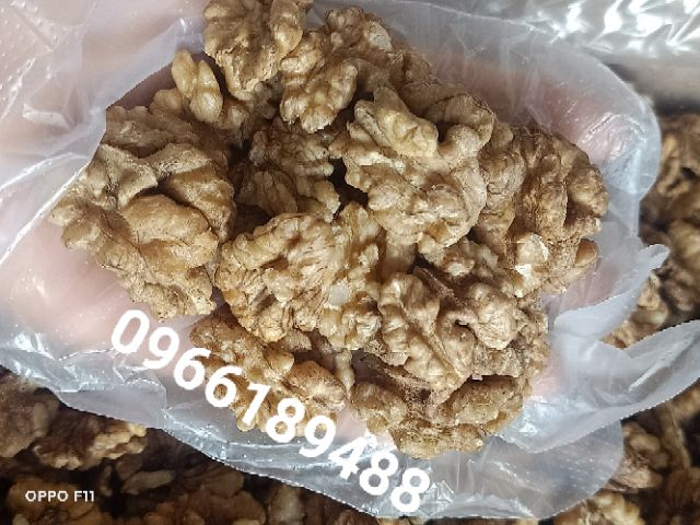 NHÂN QUẢ ÓC CHÓ MỸ 500g