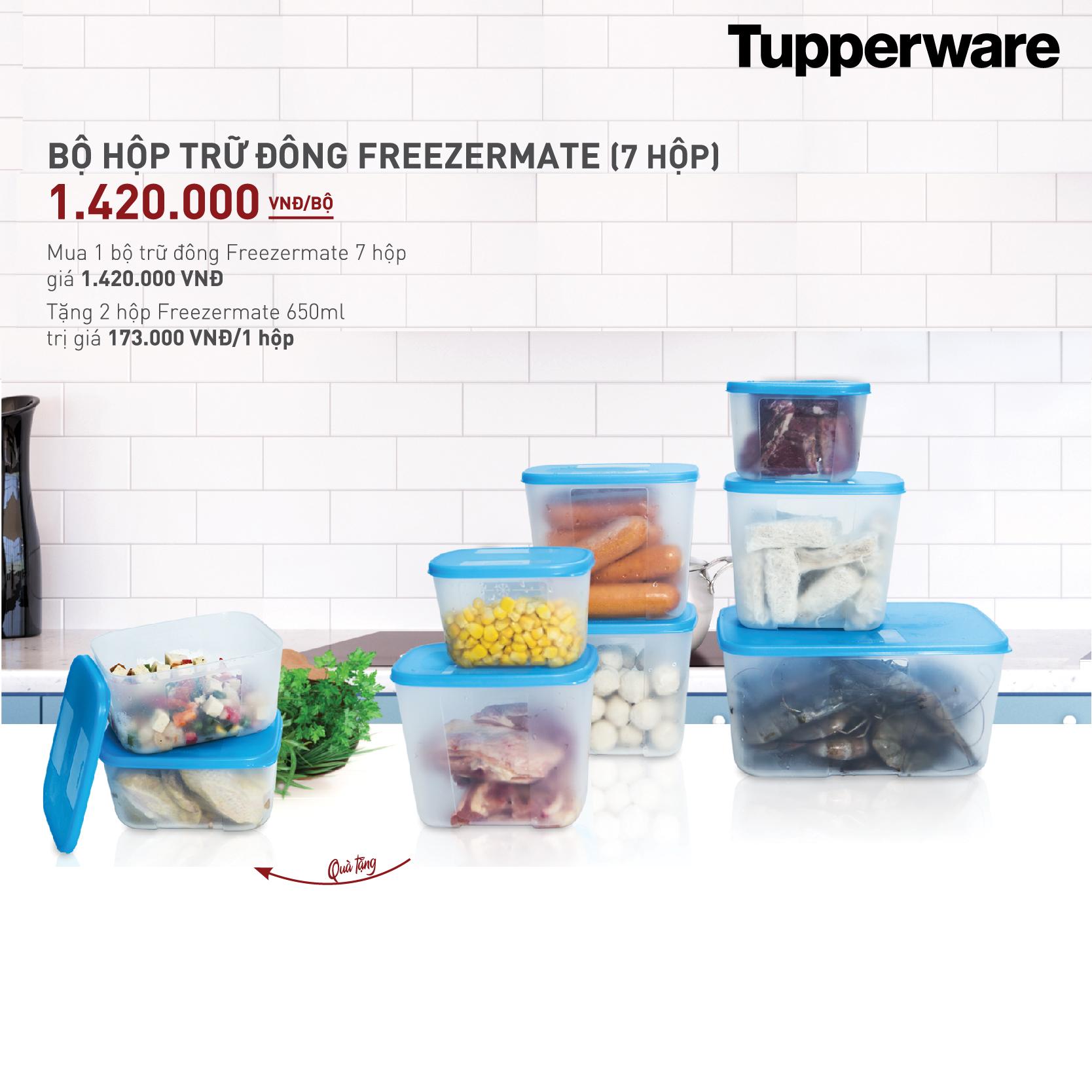 Bộ hộp trữ đông Freezermate Set 7 mới + SET QUÀ TẶNG HẤP DẪN